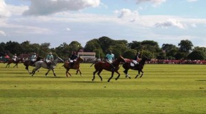 Oxford_Univeristy_Polo