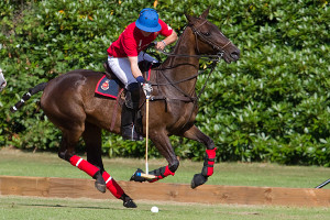 2014 EFG Bicentennial Cup at Sanhurst