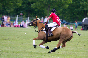 Hackett Rundle Cup 2014